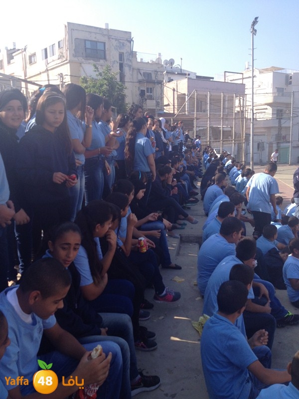 dawry kora shamela 1123 (2).JPG